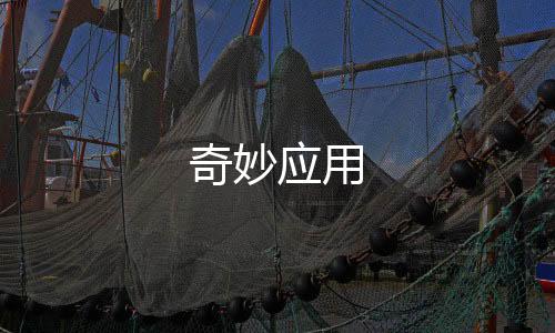 第五人格辅助透视奇妙应用